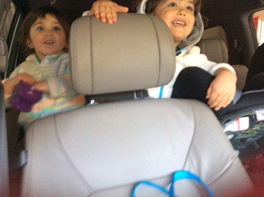 You must sit in your car seats correctly wearing your seatbelt before our adventure begins!