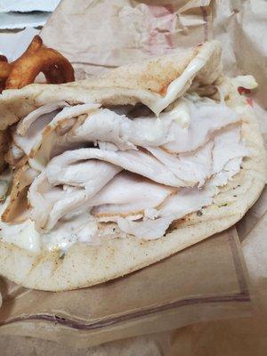 Turkey Gyro, plain