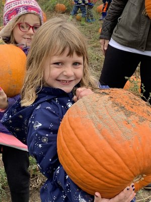 Field trip to the farm.