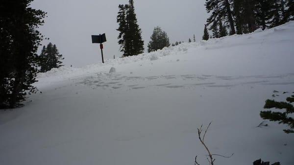 Snowshoe path