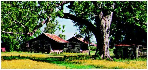 slave cabin at Laura