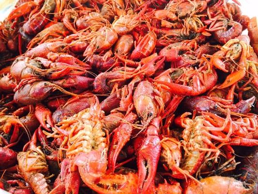 Crawfish