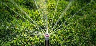 Irrigation Repair Tech