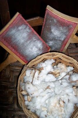 Carding cotton