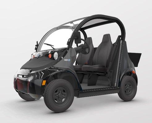 Polaris GEM - LSV