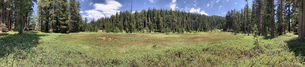 Meadow on the trail to Jennie Lake