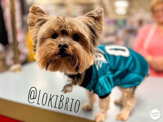 Yay!! Lokis Jersey!! Fly Eagles Fly!!!