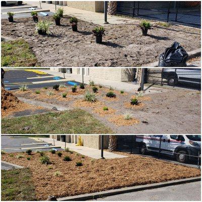 Plants, mulch and sod installation