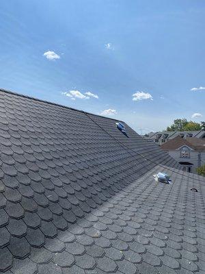 New carriage house shingle roof complete