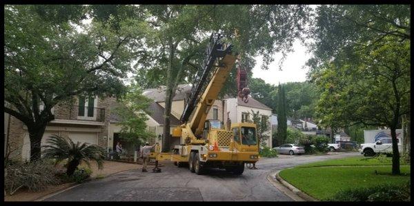 We use heavy equipment when needed to insure job safety