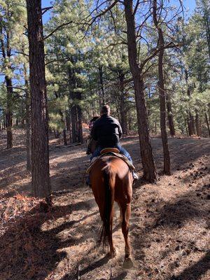 Scenes from the trail