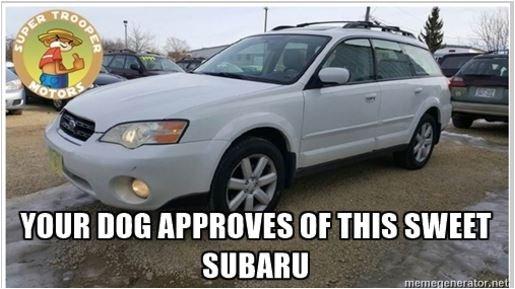 We have Subarus! Dog tested and dog approved!