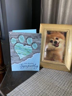 Macy and the sympathy card