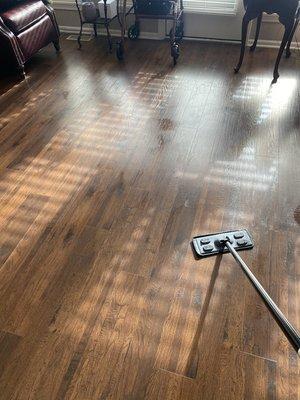 Hardwood floor cleaning