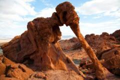 Valley of Fire Tour