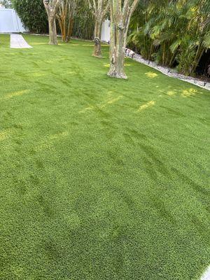 Artificial Turf South Tampa