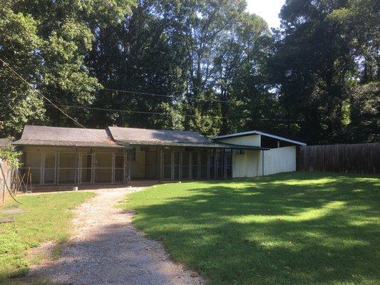 The view of the kennels and runs from the front dog exercise yard.