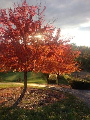 View from the golf course.