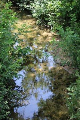 Willow Creek Park. Photo by Happy Tails Pet Pal, LLC.