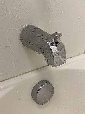 The new replacement bathtub spout with a working diverter :D