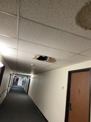 Hole in ceiling tile from leaking pipes.