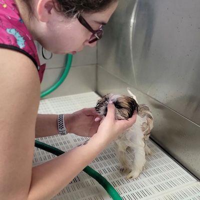 Willow Joy and her first bath!