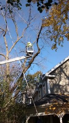 Signature tree removal