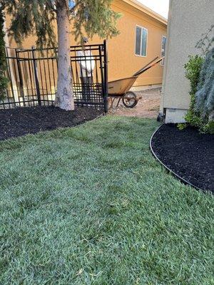 Back yard rehab. Sod/bark/edging