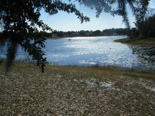 Lake Dupont