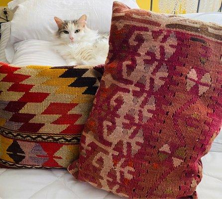 The kilim Turkish pillows I purchased! My kitty loves them too!