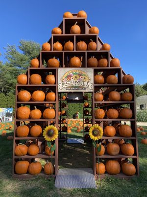 Pumpkin house in the patch