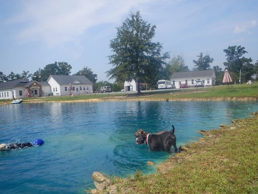 The Pond and Buildings 1, 2 & 3 (R-L)