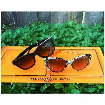 Fashion sunglasses