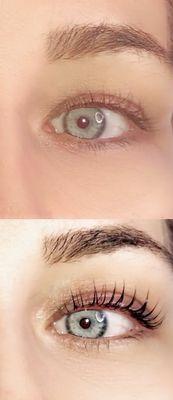 Keratin Infused Lash Lift and Tint Close up