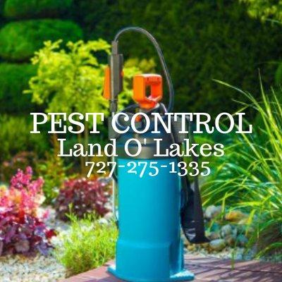 Pest Control Land O' Lakes