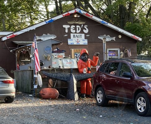 Ted's Bait & Tackle