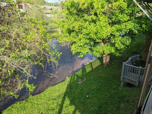 View from the picnic table next to the indoor pool