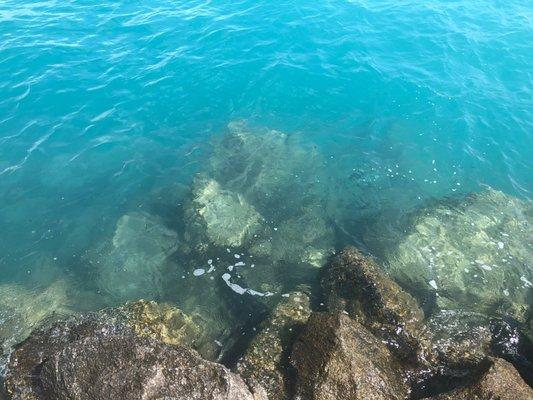 Jupiter Inlet at Dubois Park