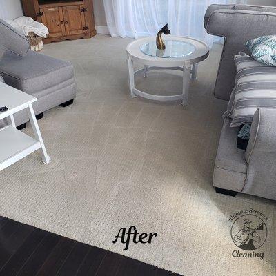 Carpet cleaning stain removal