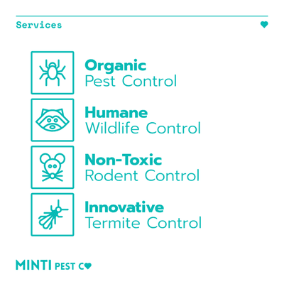 Minti Pest Co