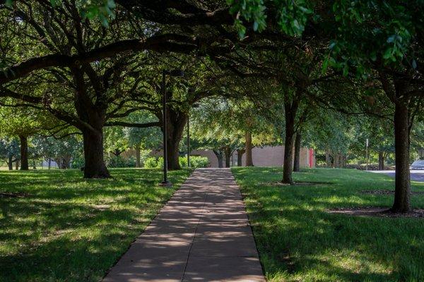 Path at St. Edwards University