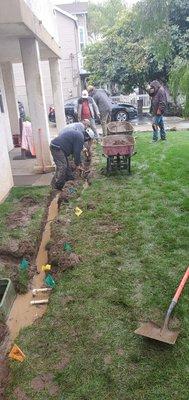 Front yard - digging for the French drain