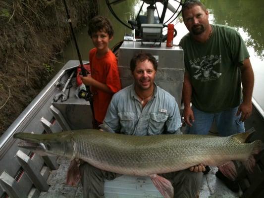 Alligator Gar