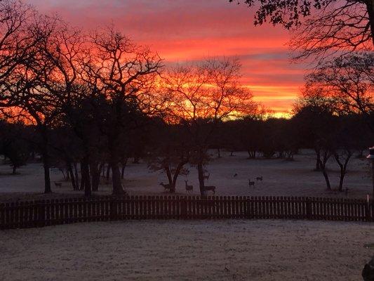 Beautiful Sunrise at Red Oaks Ranch