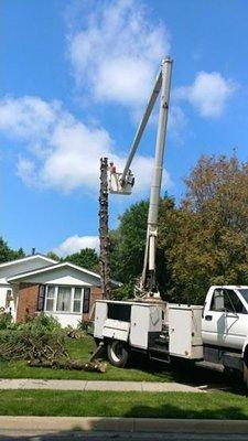 ASAP Tree Pros, Inc.