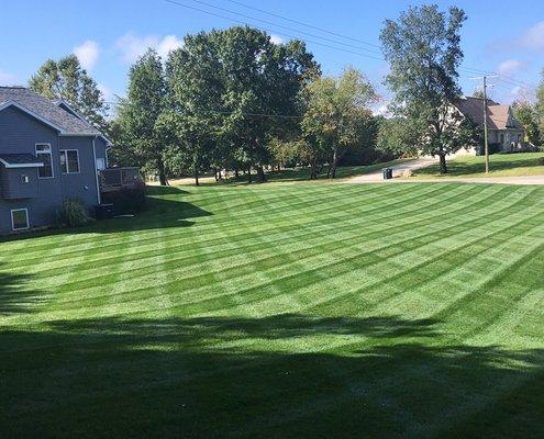 Double cut at its best