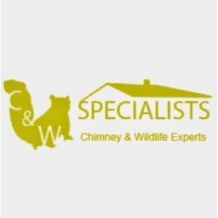 Austin Chimney and Wildlife Specialist