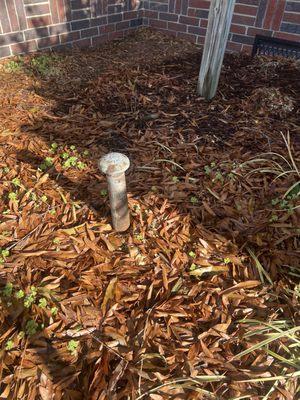 Stub pipe for underground tank nearest porch and driveway.