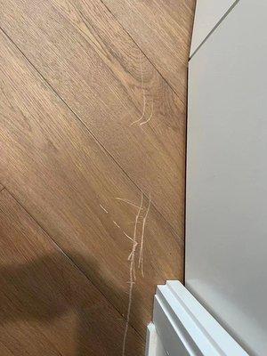 Floor damage and door damage