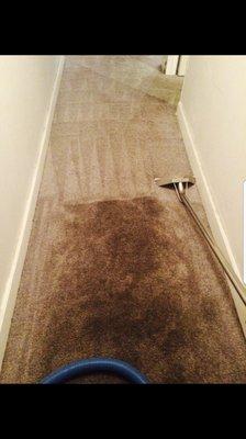 Hallway with deep cleaning and conditioning!!!